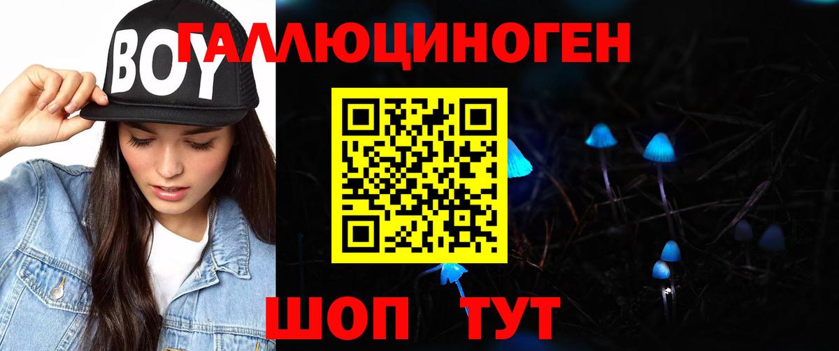 Псилоцибиновые грибы ЛСД  Вход с VPN  Псилоцибиновые грибы ЛСД  Ленинск-Кузнецкий 